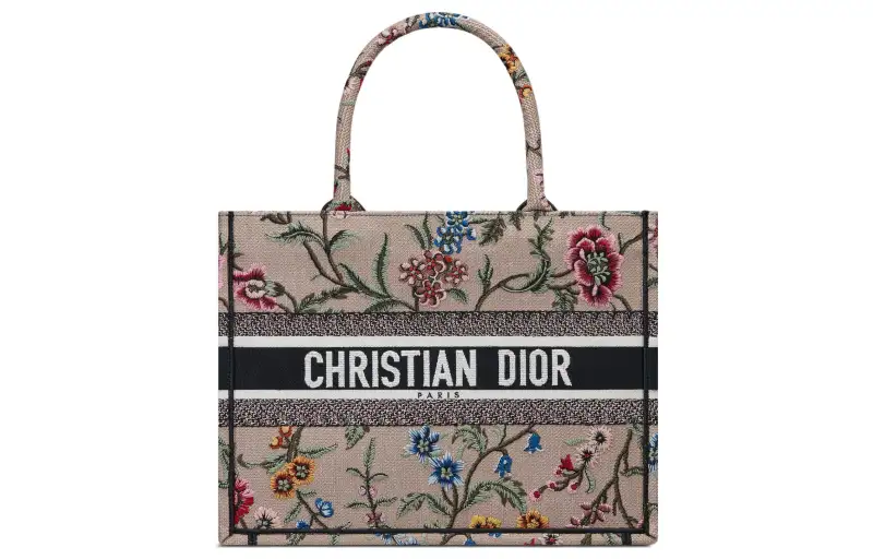 DIOR BookTote Handbags
