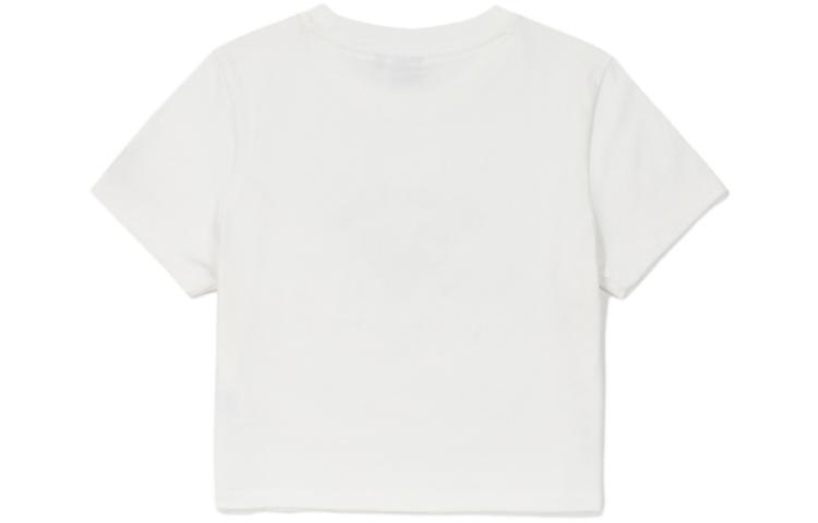 Photo 20883865