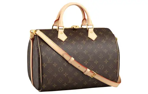 LOUIS VUITTON Speedy Coated Canvas Pillow Bag, Shoulder Bag, Crossbody Bag, Handbag, Travel Bag Women's