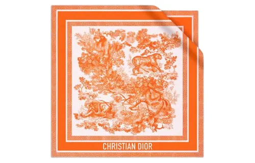 DIOR Scarves Women's Orange