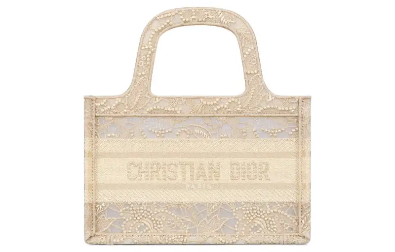 DIOR BookTote Handbags