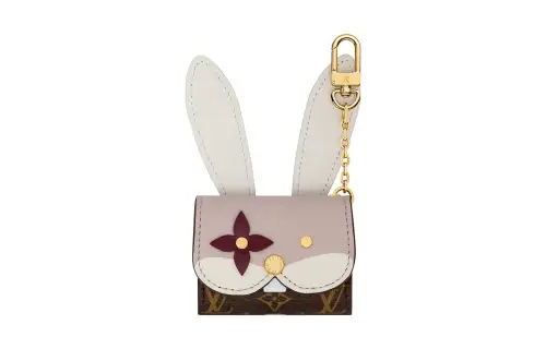 LOUIS VUITTON Coated Canvas With Leather Earphone Case Unisex Brown/White