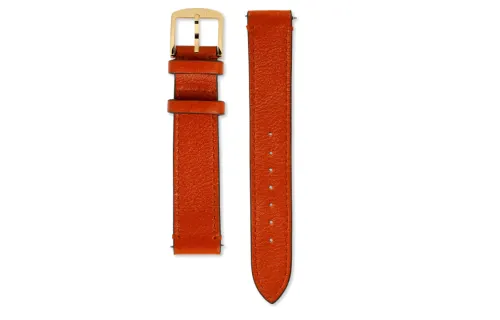 GUCCI Strap Gucci Compatibility Leather Unisex