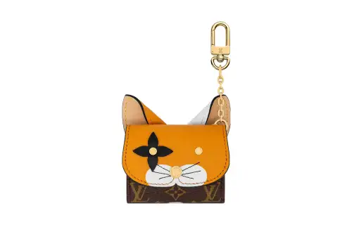 LOUIS VUITTON Coated Canvas With Leather Earphone Case Unisex Brown/Orange