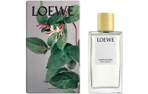 LOEWE Flower arrangements, perfume, perfumed aromatherapy, gold and silver, 150 ml