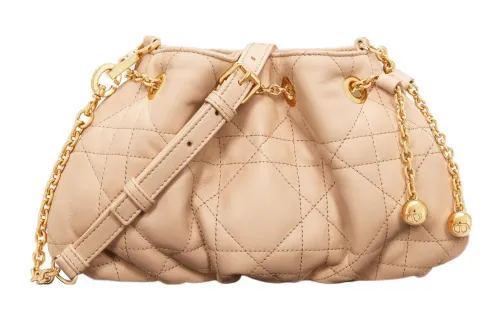 DIOR Ammi Crossbody Bags