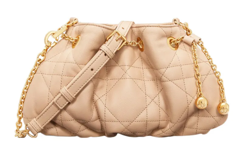 DIOR Ammi Crossbody Bags