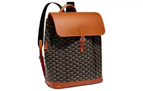 GOYARD Alpin Canvas With Leather Backpack Medium Unisex Brown