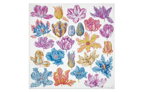 HERMES Scarves Women's Multicolor