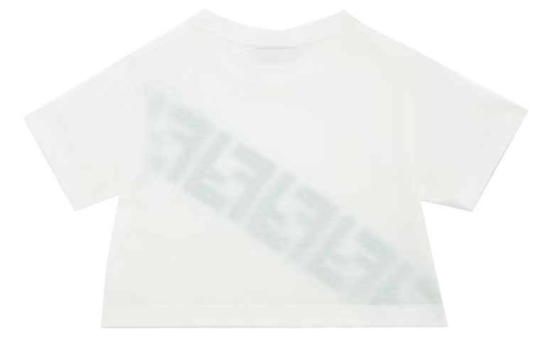 Photo 21204689