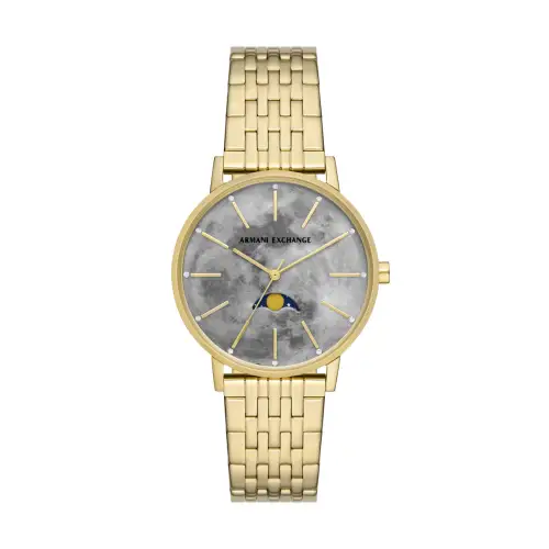 ARMANI EXCHANGEAE Baby's Breath Collection Wrist Watch Quartz Movement Stainless Steel Strap Silver Dial Women's Watch