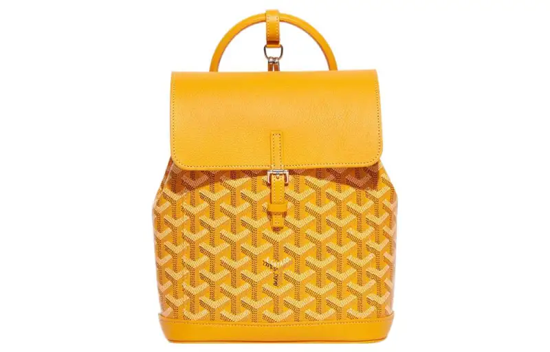GOYARD Alpin Canvas With Leather Backpack Mini Unisex Yellow