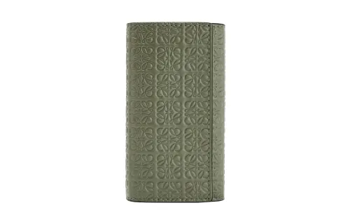 LOEWE Silk Calfskin Key Pouch Women's Green