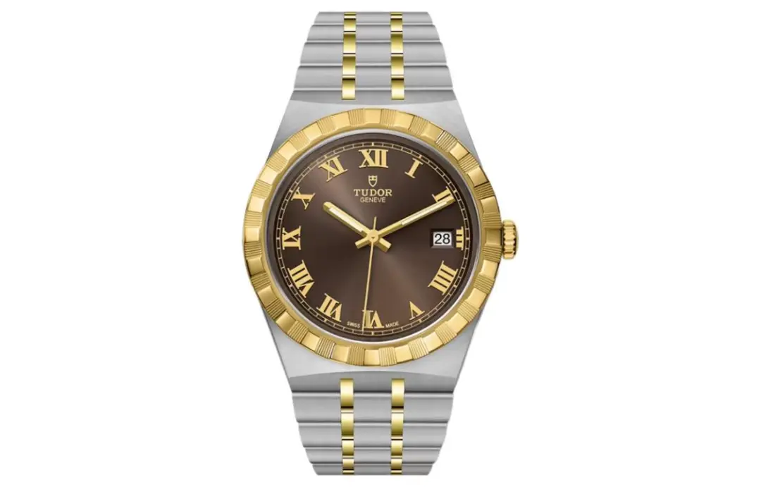 TUDOR Royal Collection Royal Collection Automatic Mechanical Movement 100m Waterproof Men's Watches Watch 38mm