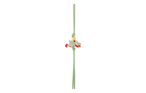 LOEWE Charms Women's Green