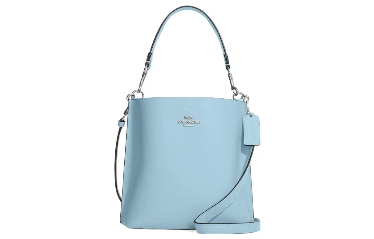 COACH Mollie Handbags