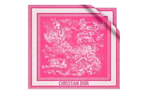 DIOR Scarves Women's Pink