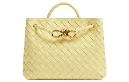 Bottega Veneta Handbags