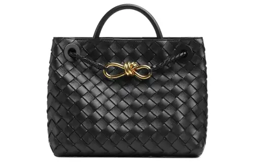 Bottega Veneta Small Andiamo Black