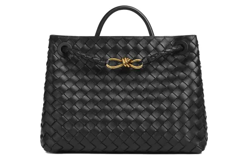 Bottega Veneta Medium Andiamo Black