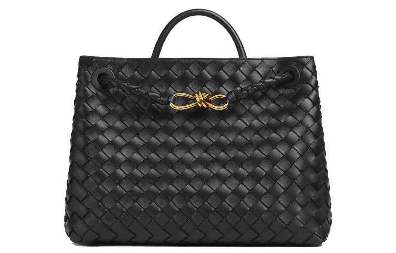 Bottega Veneta Medium Andiamo Black