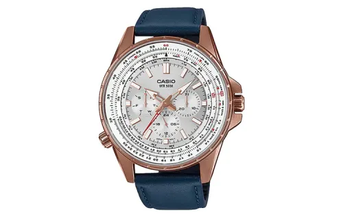 CASIO Men Standard Series Gray Watch