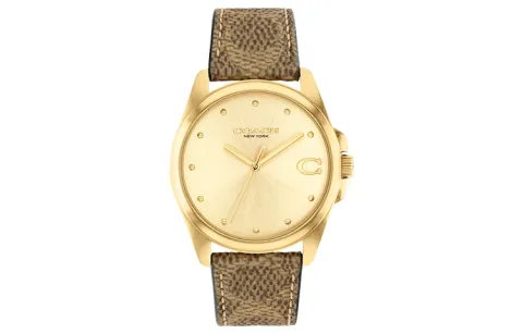 COACH GREYSON Wrist Watches Quartz Movement Cow Leather/Cow Leather Strap 36mm Gold Dial Women's Watch Waterproof