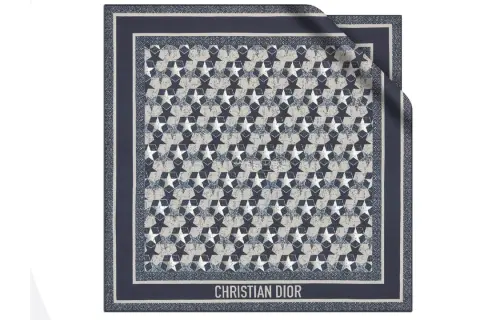 DIOR Scarves Women's Blue