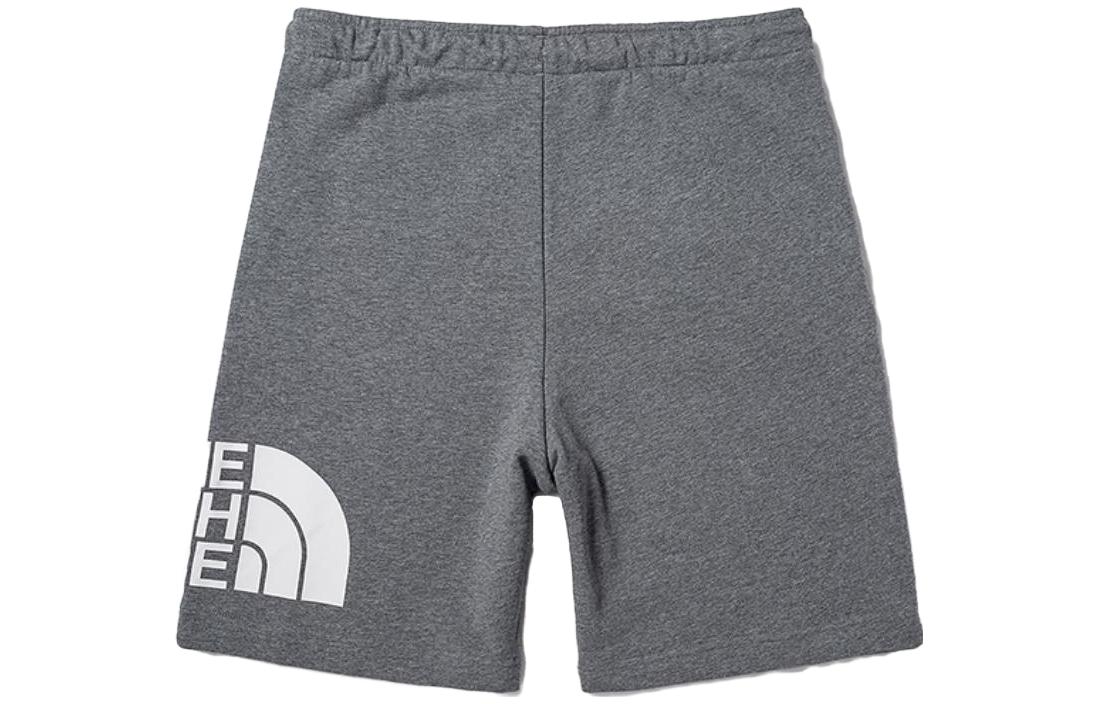 THE NORTH FACE SS23 Men’s Logo Outdoor Straight Shorts Gray