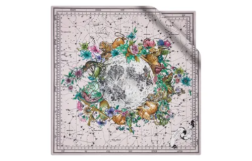 DIOR Scarves Women's Multicolor