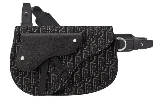 DIOR Saddle Crossbody Bags