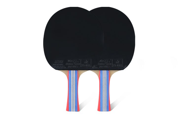 DOUBLE FISH Ping Pong Paddles