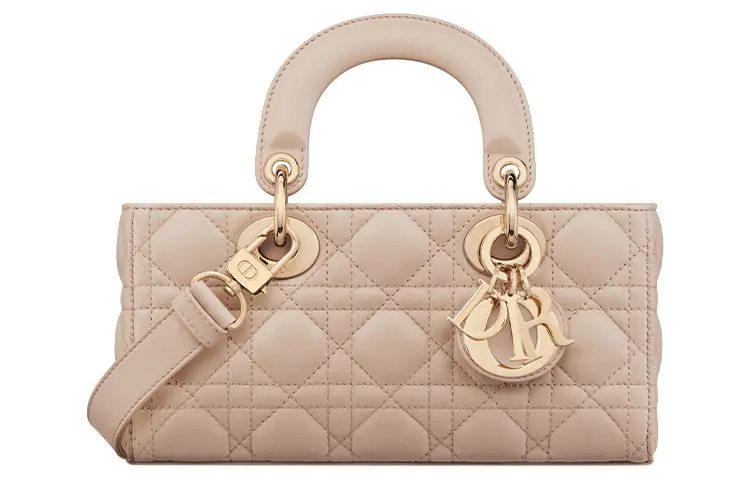 DIOR Lady D Joy Handbags