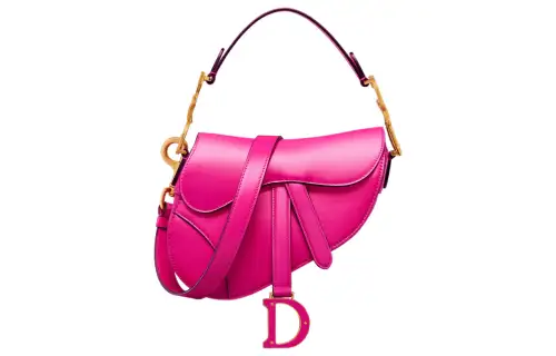 DIOR Saddle Handbags
