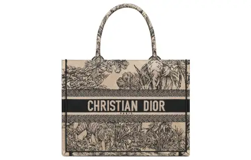 DIOR BookTote Handbags