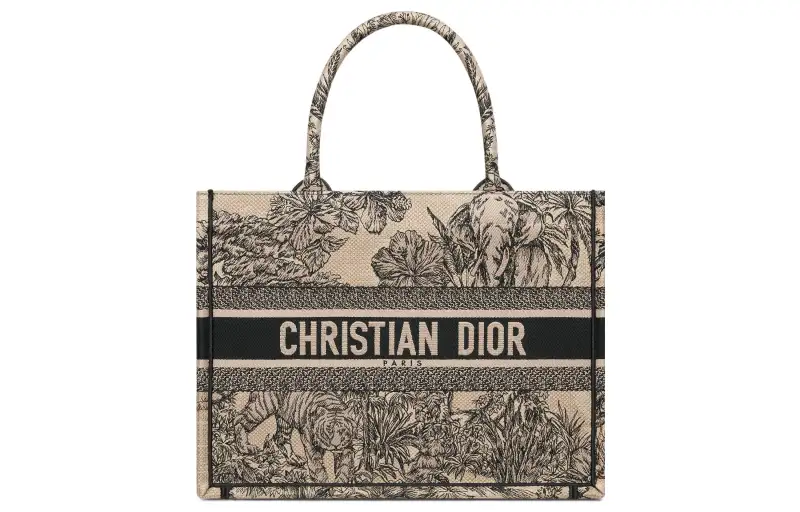 DIOR BookTote Handbags