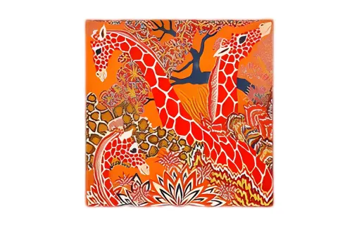 HERMES Cashmere Scarves Women's