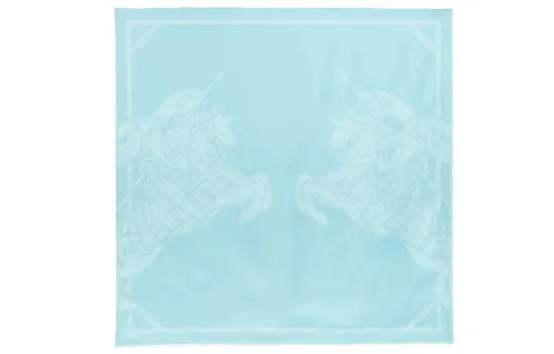 【Previous Season】EKD-print silk scarf
