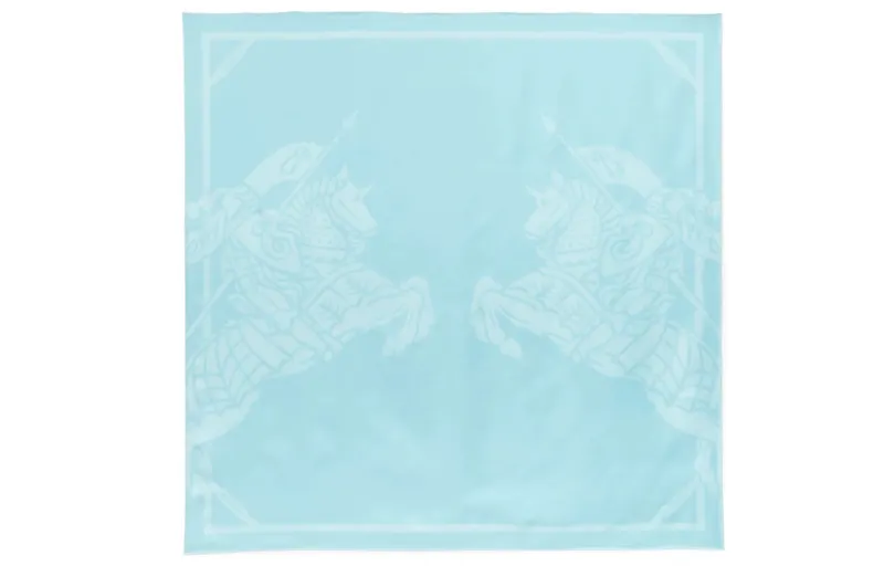 【Previous Season】EKD-print silk scarf