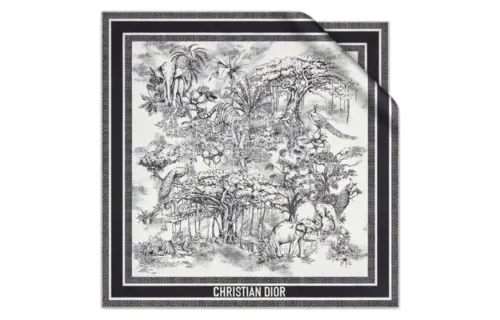 DIOR Scarves Women's White, Black