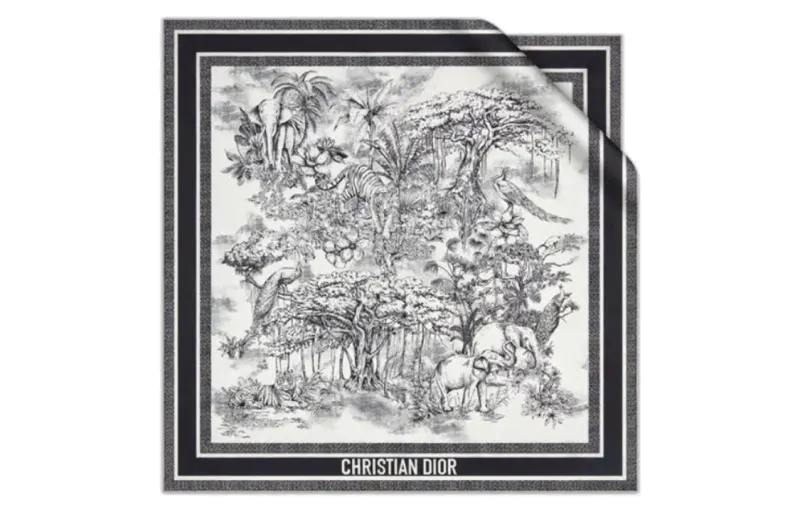 DIOR Scarves Women's White, Black