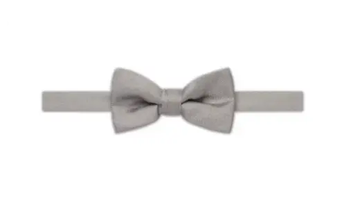 DIOR Bow Ties Men's Gray