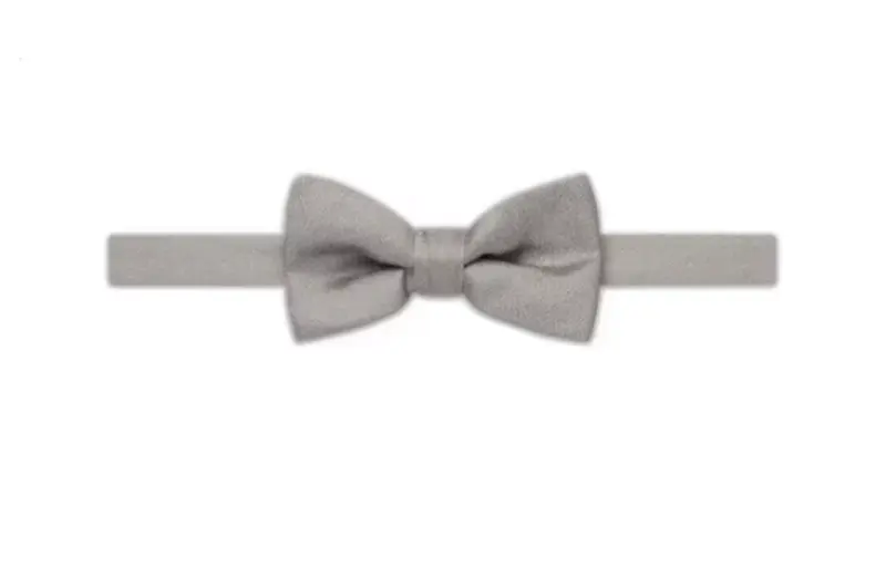 DIOR Bow Ties Men's Gray