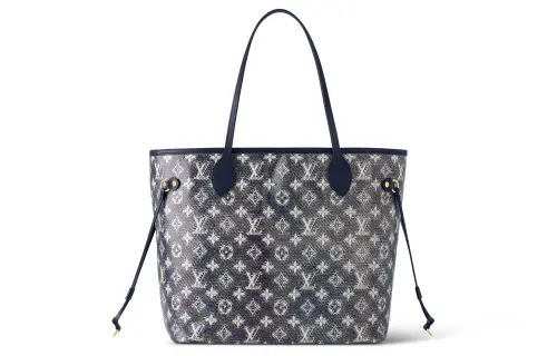LOUIS VUITTON Neverfull Mm Monoglam