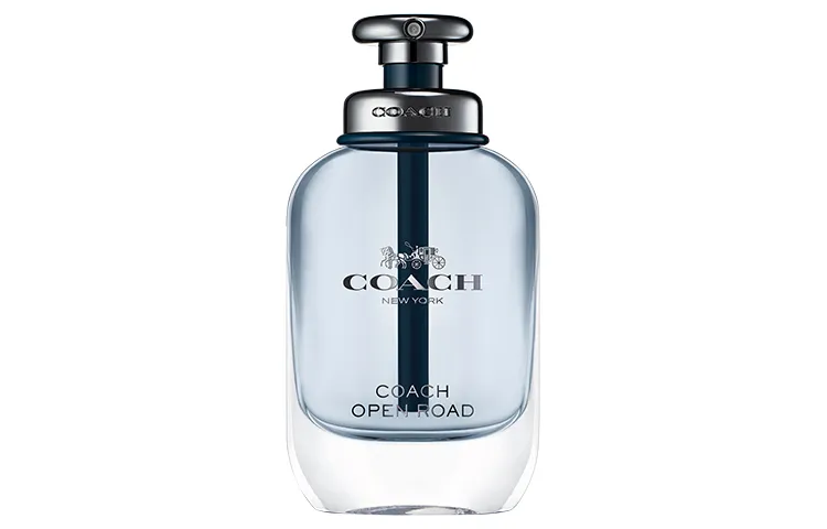 COACH Endless Road Men's Light Perfume Woody Aromatic Scent Family Eau De Toilette 40ml/60ml/100ml Lemon Sage Cedar