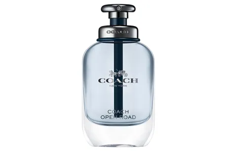 COACH Endless Road Men's Light Perfume Woody Aromatic Scent Family Eau De Toilette 40ml/60ml/100ml Lemon Sage Cedar