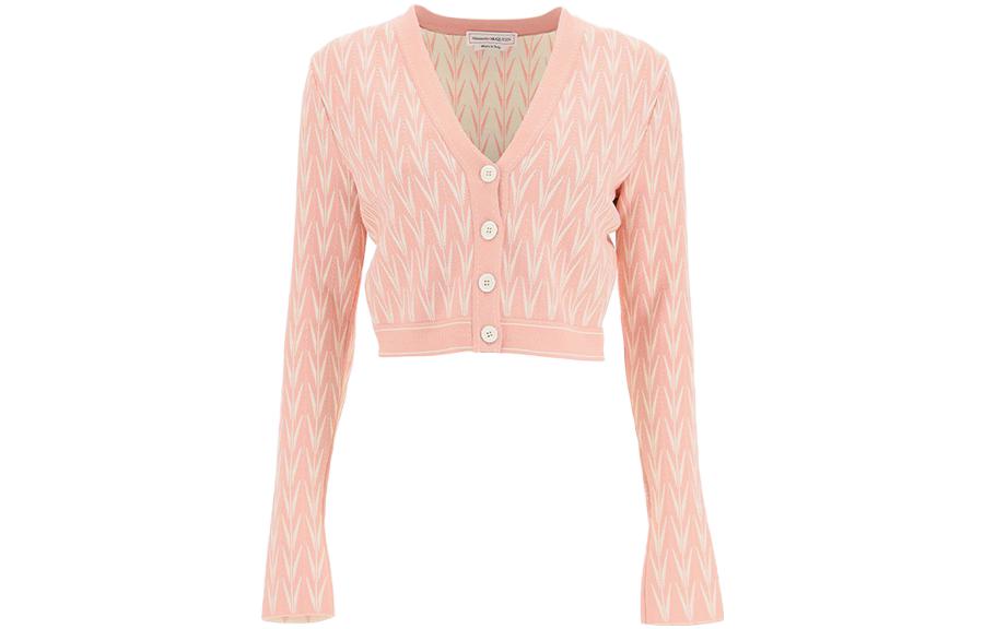 Майки Alexander McQueen