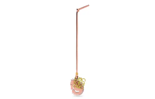 LOEWE Charms Unisex Pink