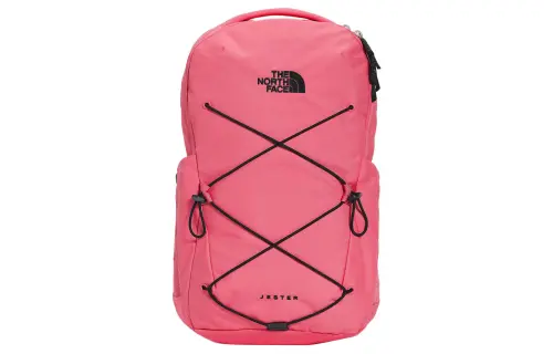 THE NORTH FACE 22L Backpack Double Shoulder Outdoor Bag Recycled Polyester Pink Women's