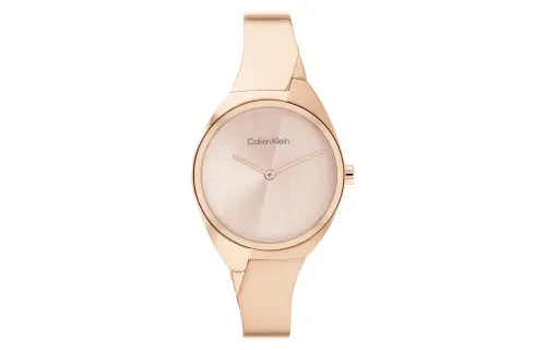 CALVIN KLEIN Wrist Watches Quartz Movement Steel Strap Gold Dial Women's Watch